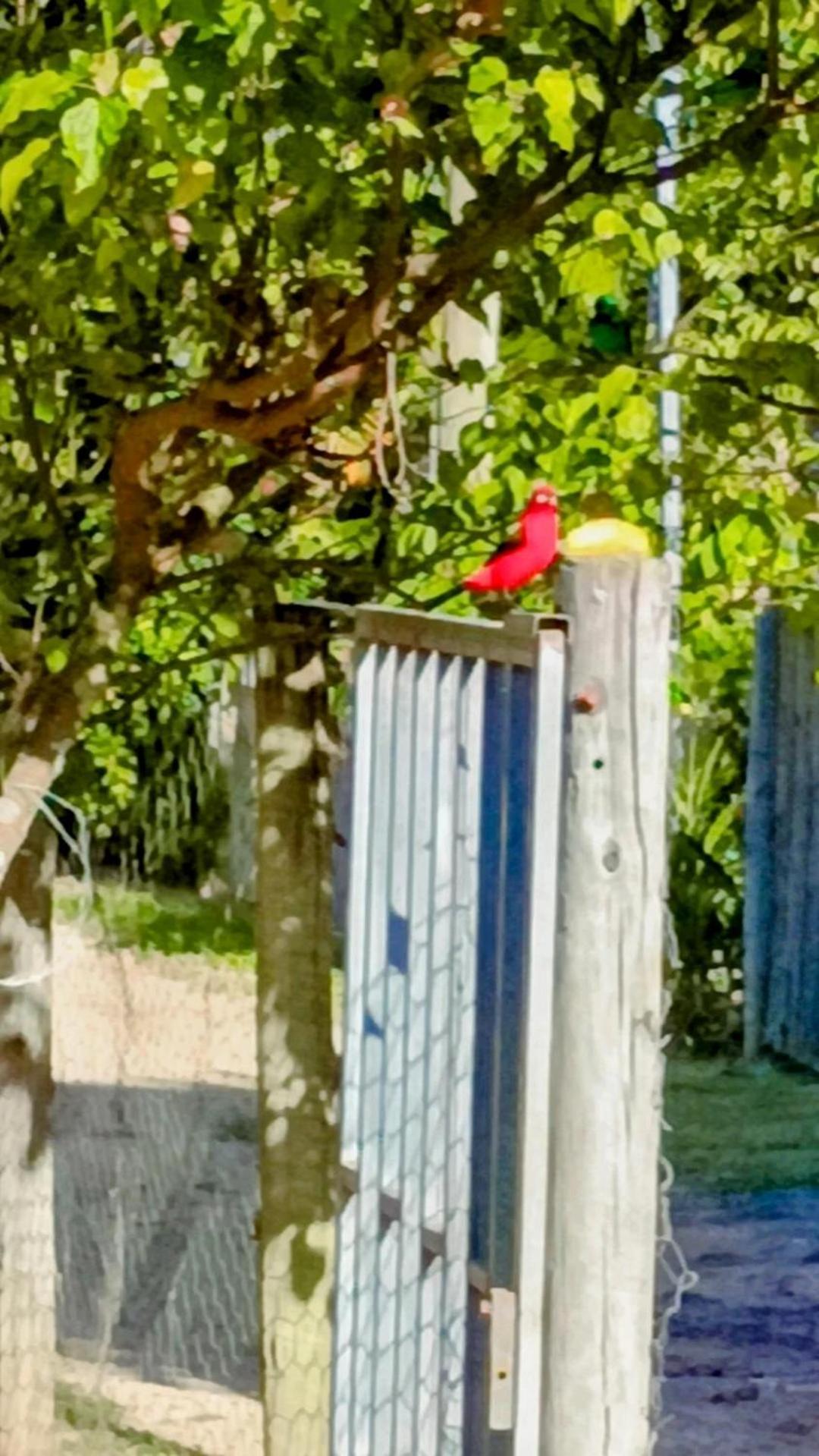 Pousada Casa Da Montanha Sana Luaran gambar